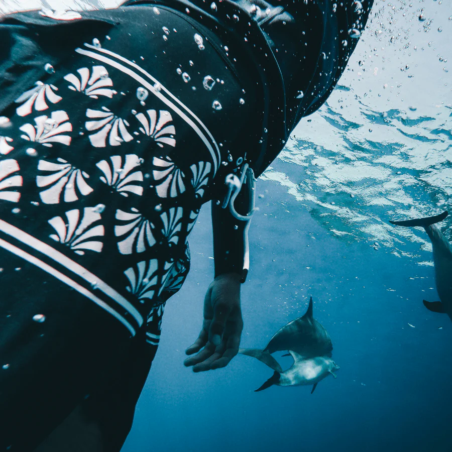 BOARDSHORT COQUILLE – Image 8